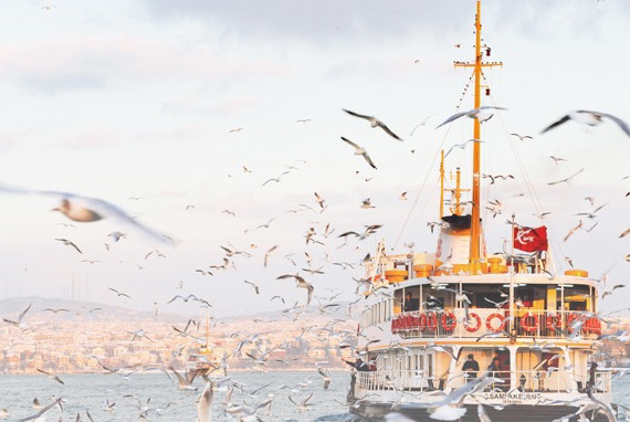 Главные покупки зимы